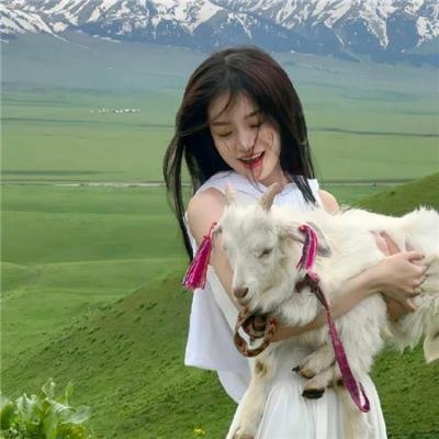 钓鱼狂日记4